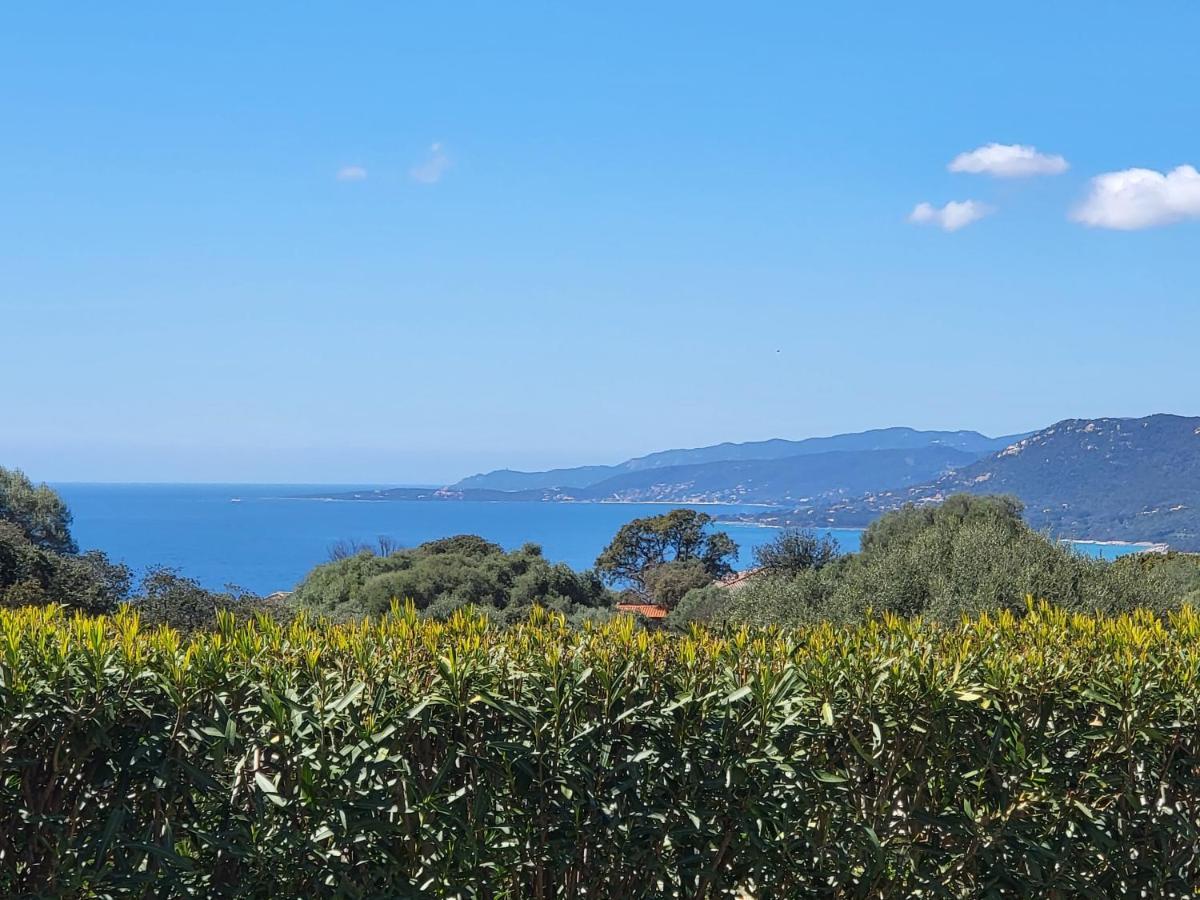 T3 Propriano Vue Mer, Neuf, Climatise Et Classe 4 Etoiles Viggianello Ngoại thất bức ảnh