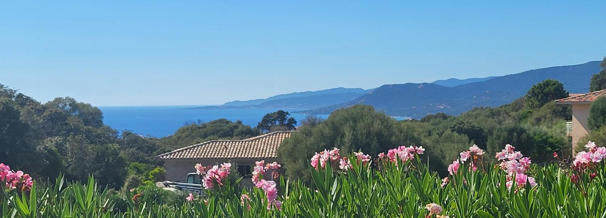 T3 Propriano Vue Mer, Neuf, Climatise Et Classe 4 Etoiles Viggianello Ngoại thất bức ảnh